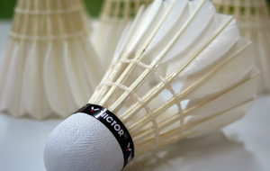 Stage de Badminton pendant les vacances scolaires de pâques