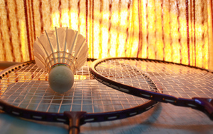 Stage Badminton du 06 AU 10 Juillet 2020 (COMPLET)