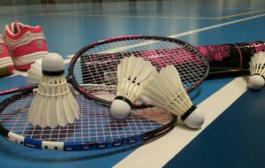 Toussaint - Stage Badminton du 25 au 29 Octobre 2021