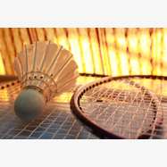 Stage de Badminton pendant les vacances toussaint